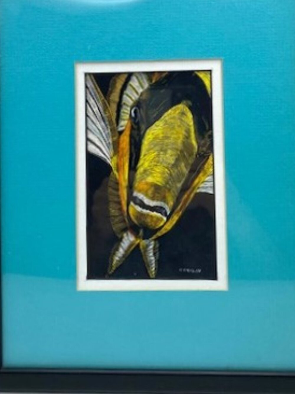 Fun original art fish art illustration scratchboard print, signed, Cindy Conklin